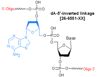 picture of Inverted dA (reverse linkage)